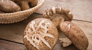 เห็ดออรินจิ