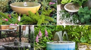 จัดสวนหย่อม