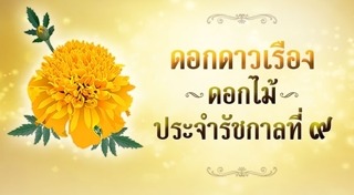 ดอกดาวเรือง