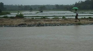 น้ำท่วมตรัง