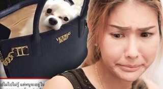 แก้ม น้ำตาล