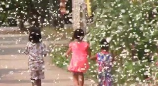 ผีเสื้อ