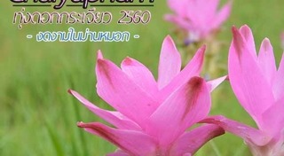 เที่ยวชัยภูมิ