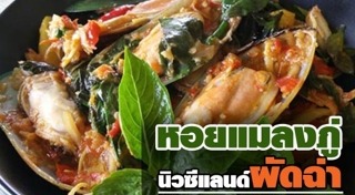 หอยแมลงภู่