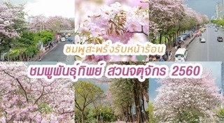 สวนจตุจักร