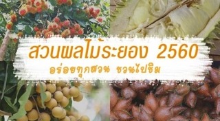 สวนผลไม้ระยอง