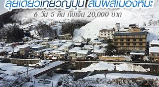 สึนามิญี่ปุ่น