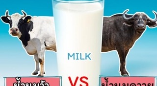 อาหารสร้างกล้ามเนื้อ