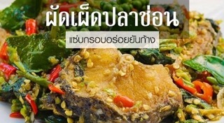 ผัดเผ็ด