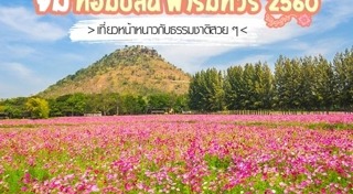 จิม ทอมป์สัน ฟาร์ม