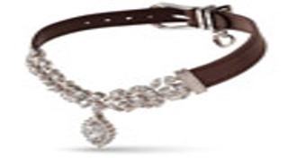 ปลอกคอสุนัข