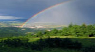 เที่ยวป่า