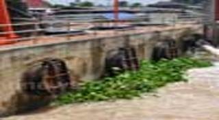 น้ำท่วมปทุมธานี