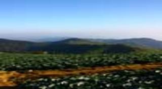 วัดผาซ่อนแก้ว