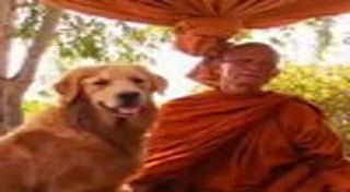 พระหนูที สุตธัมโม