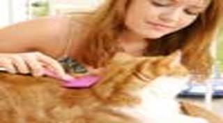 อุปกรณ์เลี้ยงสัตว์