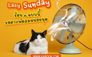 ดวงวันนี้