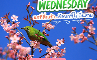 ดวงวันนี้