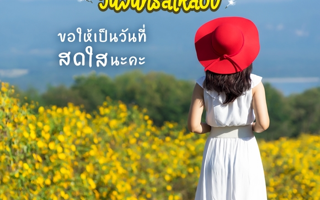 ดวงวันนี้