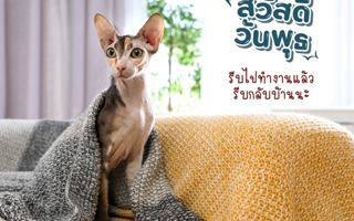 ดวงวันนี้