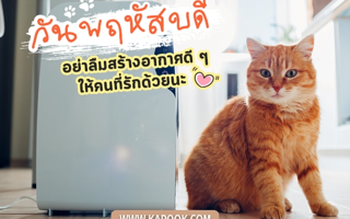 ดวงวันนี้