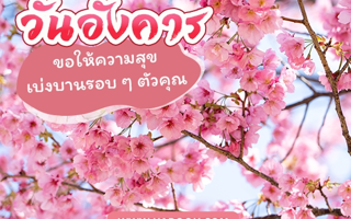 ดวงวันนี้