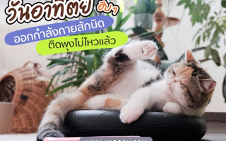 ดวงวันนี้