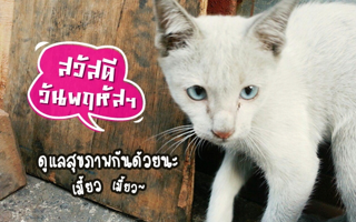 ดวงวันนี้