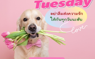 ดวงวันนี้
