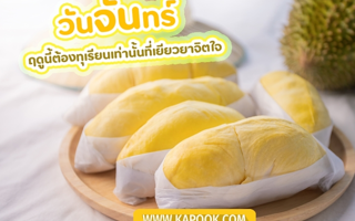 ดวงวันนี้