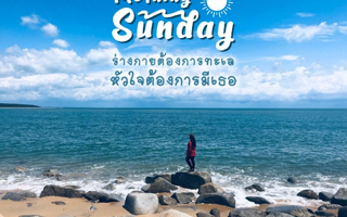 ดวงวันนี้