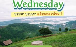 ดวงวันนี้