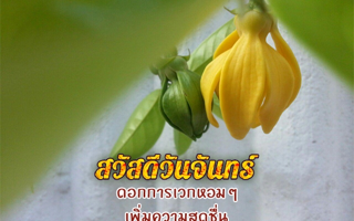 ดวงวันนี้