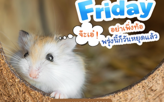 ดวงวันนี้