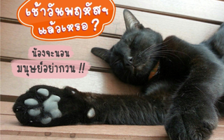 ดวงวันนี้
