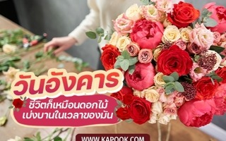 ดวงวันนี้