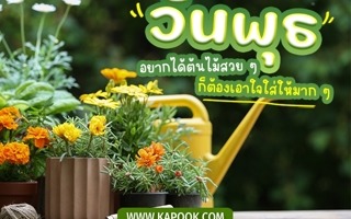 ดวงวันนี้