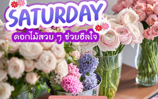 ดวงวันนี้