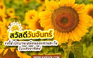 ดวงวันนี้