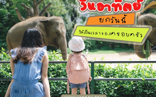 ดวงวันนี้