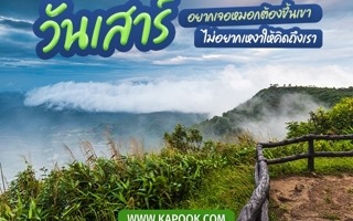 ดวงวันนี้