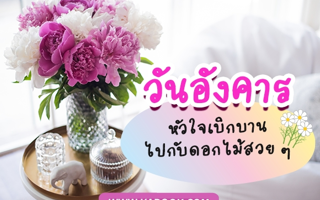 ดวงวันนี้