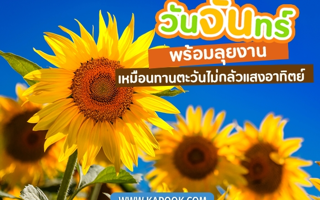 ดวงวันนี้