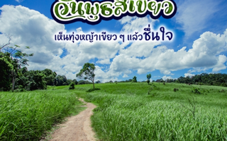 ดวงวันนี้