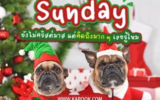 ดวงวันนี้