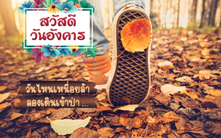ดวงวันนี้