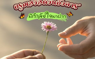 ดวงวันนี้