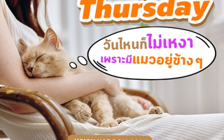 ดวงวันนี้