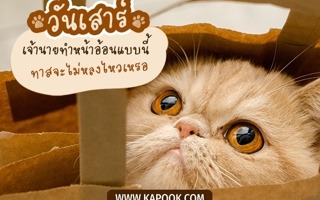 ดวงวันนี้