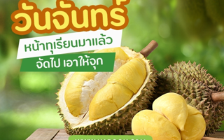 ดวงวันนี้